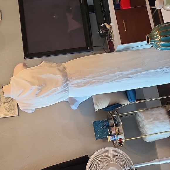 Pretty Garden White Mock Neck Dress w/Assymetrical sleeveless sleeves, NWT XXL - Picture 3 of 13